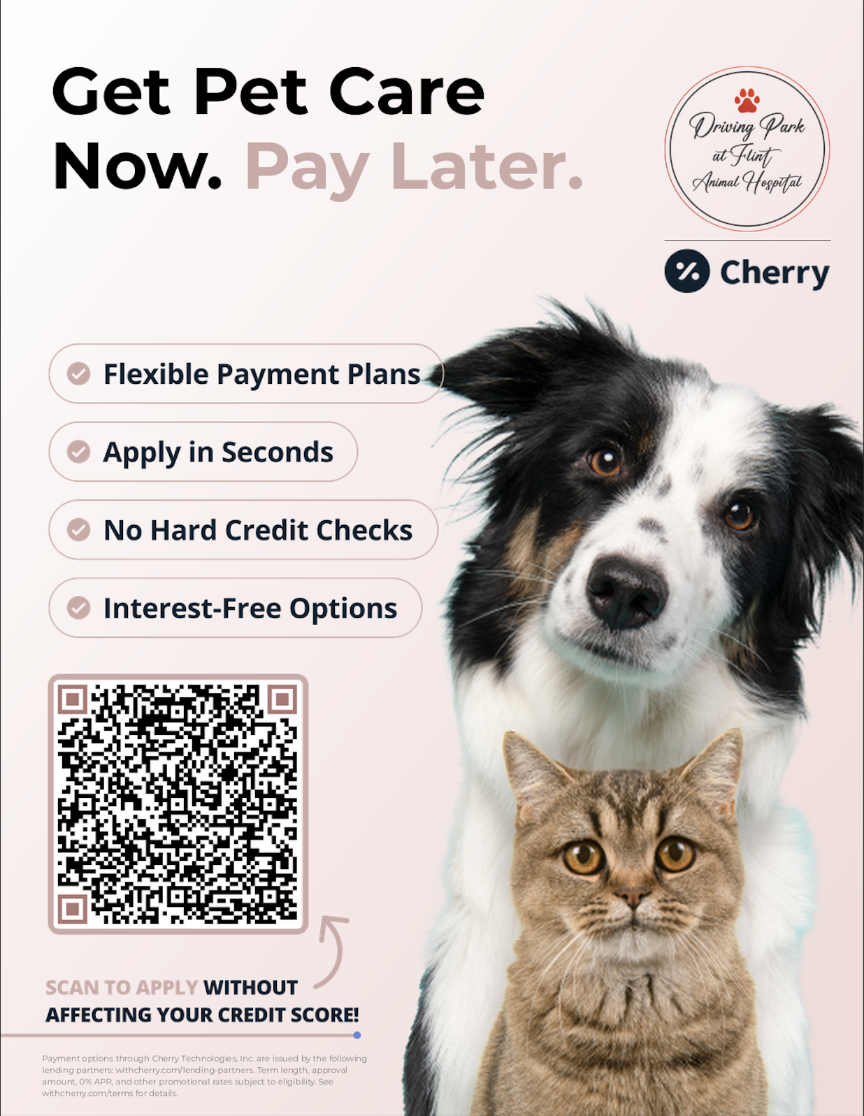 Cherry payment Cherry payment Logo